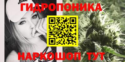 эйфоретик Конаково