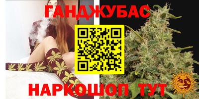 крисы Коммунар
