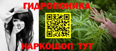 крисы Коммунар