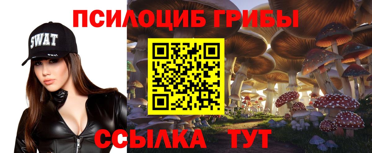 Галлюциногенные грибы MAGIC MUSHROOMS Кинель