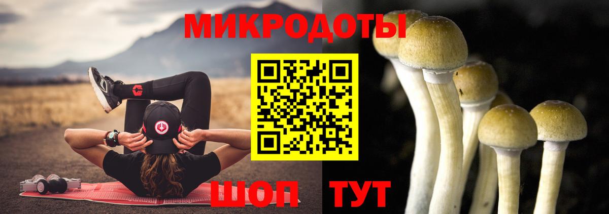 Кинель  Галлюциногенные грибы GOLDEN TEACHER  Вход с VPN 